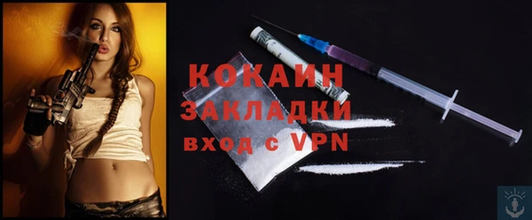 гидра Наволоки